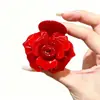Pinza para el cabello de acetato de rosa de alta gama, Pinza de tiburón retro francesa, Accesorio para el cabello para mujer, Nuevo adorno versátil para el cabello