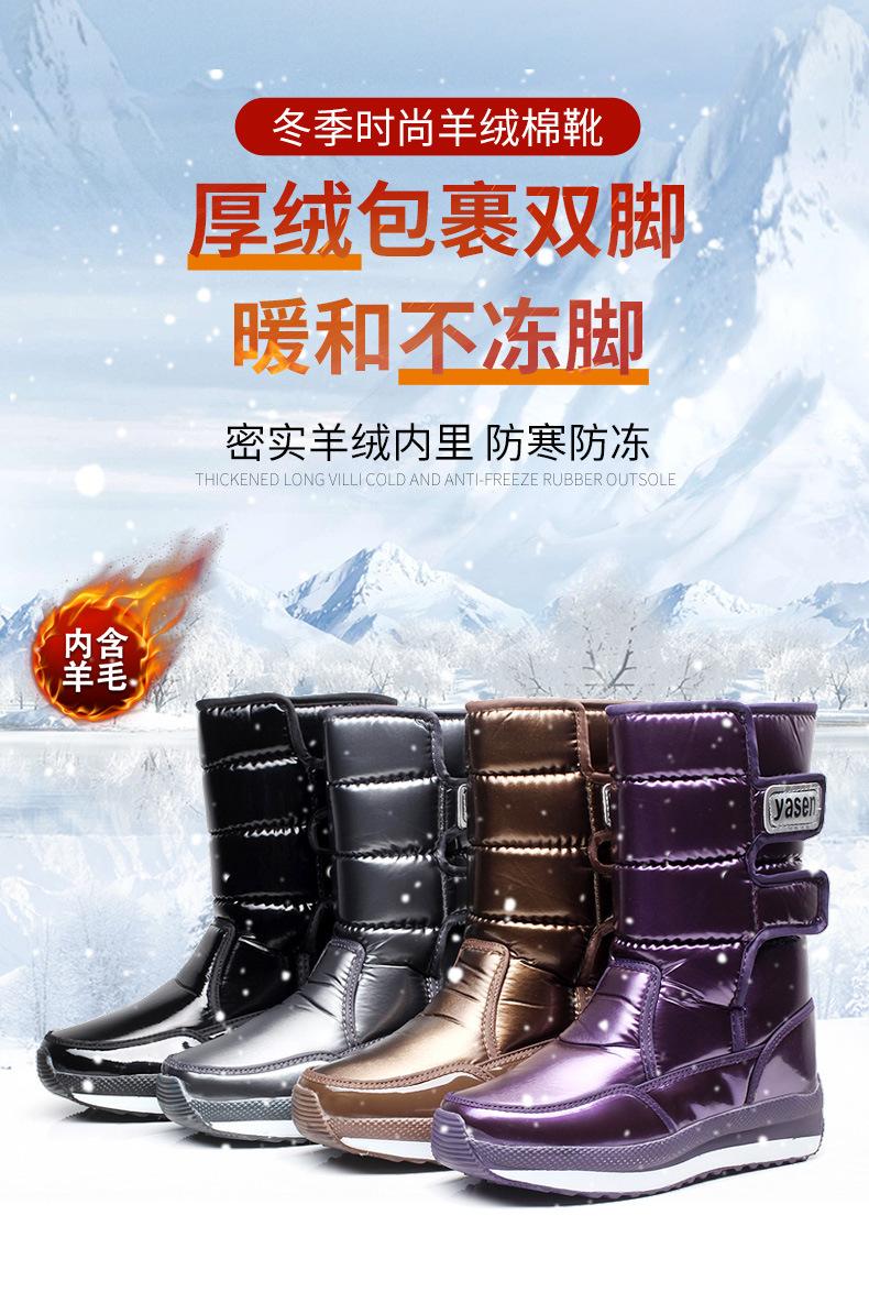 790详情