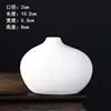 Paquete de materiales para jarrón de cerámica para quemar liso, botella de frijol hecha a mano DIY, tapón de viento estilo Ins, adornos de flores secas, venta al por mayor, popular en TikTok