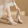 1233-23 Tacones Altos Sexy con Remaches para Mujer 2025 Primavera y Otoño Nuevos Zapatos de Plataforma Impermeables de Tacón de Aguja Puntiagudos 12cm