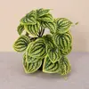Hojas de begonia artificiales de pared, planta tortuga miniatura, planta tortuga pequeña, hoja de sandía miniatura, planta para micro paisajismo para decoración de pared, planta de interior con follaje verde
