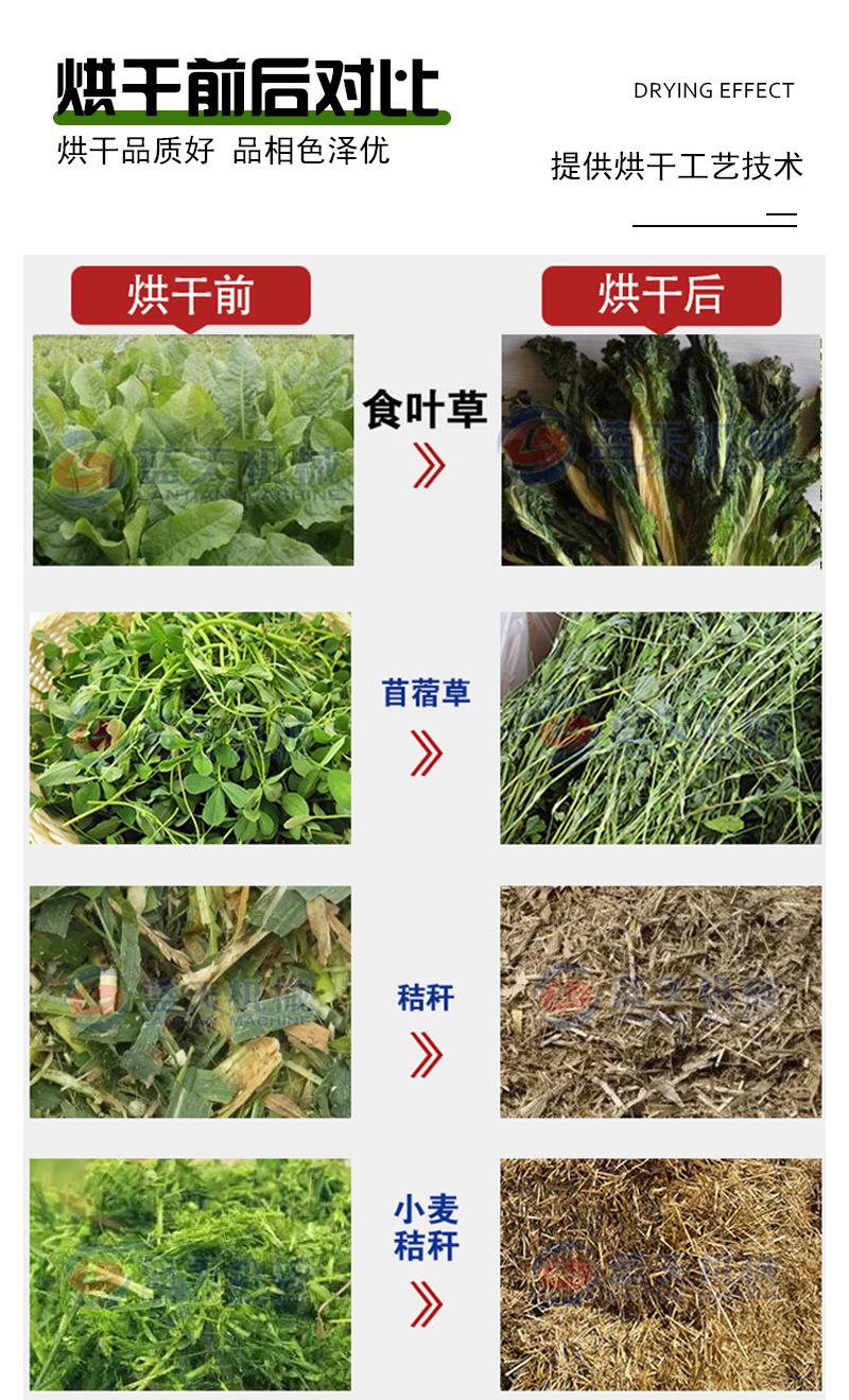 烘干(1).jpg