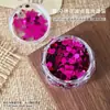 Decorações Redondas de Artes de Unhas Mosaico com Lantejoulas, Lantejoulas Mosaico Coloridas Populares com Bolinhas, Adesivos de Unha de Tamanho Misto
