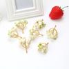 Planta Artificial de Floresta Fruta de Natal Guirlanda DIY Material de Decoração para Headband Caixa de Presente Acessórios para Caixa de Açúcar Fruta Romã