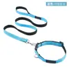 Collar y Correa para Mascotas Sencillo y Elegante, Relleno de Espuma, Collar para Perro Suave y Apto para la Piel, Stock Listo del Fabricante