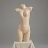 Expositor de modelos de lingerie manequim meio-corpo masculino e feminino loja de lingerie sutiã sutiã manequim corpo inteiro calcinha modelo de quadril adereços