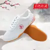 Zapatos Tai Chi Suela de Res para Mujer Verano Transpirables de Lona Zapatos de Entrenamiento Artes Marciales Rendimiento Zapatos Ejercicio Tai Chi Tenis para Hombre
