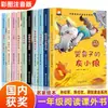 Edición Fonética Premiada por Autores Famosos, Libros de Lectura Extracurricular Imprescindibles para Primeros Grados, con Pinyin para Edades de 6-7-8 y Superiores