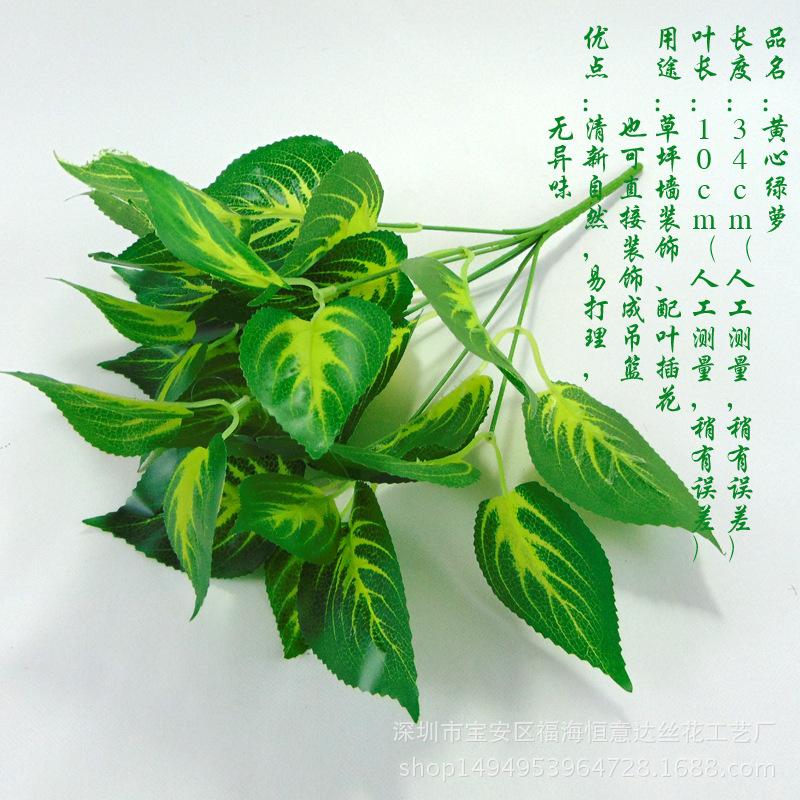 DSC00534 副本