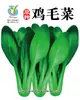 Pacote Pequeno de uma Variedade de Sementes de Vegetais 8* 10cm Pacotes Pequenos Podem Ser Usados como Presentes Fábrica de Sementes de Vegetais Atacado