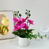 Planta en maceta de Orquídea Phalaenopsis de Doble Racimo con 6 Flores, Arreglo de Escena para Fotografía en Casa, Bonsái Artificial de Planta Verde de Gama Alta