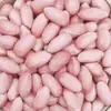Oferta Especial en Cacahuates Frescos Nuevos: Cacahuates Crudos de Cultivo, Cacahuates Blancos Recién Pelados para Venta al por Mayor