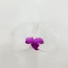 Flor Artificial Flor de Falenopsis Flor de Seda Tocado Pasador Adorno Hecho a Mano Serigrafía Flor Falsa Cabeza Caja de Dulces de Boda Cabeza de Flor