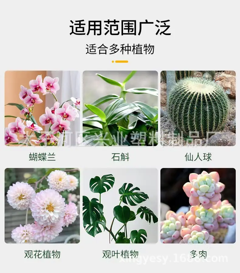 微信图片_20241219123914