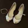Sapatilhas Femininas Prata com Madrepérola 2026 Verão Novo Estilo Versátil com Saias Uma Tira Mary Jane Francês Boca Rasa Sapatos Baixos