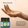 Suministro Exclusivo Transfronterizo para el Mercado de Amazon en EE. UU., Más Vendido Tk Más Vendido Aceite de Menta y Jojoba - Aceite Esencial para Masaje Corporal