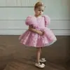 Vestido formal para niños para exportación, con adornos florales 3D, mangas abullonadas y una falda de tul multicapa, perfecto para sesiones de fotos, banquetes y como vestido de princesa para niñas