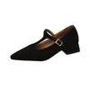 Sapatos de Moda Femininos Tamanho Grande para Primavera e Outono, Novo Estilo Francês, Salto Médio, Bico Fino e Salto Bloco, Sapatos Mary Jane