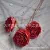 Simulação Nacional Maré Peônia Flor Estilo Europeu Borda Queimada Peônia Flor Falsa Rosa Murcha Imitação Flor Seca Murcha Sala de Estar Flor Decorativa