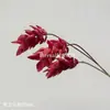 Vermelho vinho popular material de flor de simulação Eucalipto Hortênsia palma vermelha rosa vermelha com salão de casamento estrada atacado