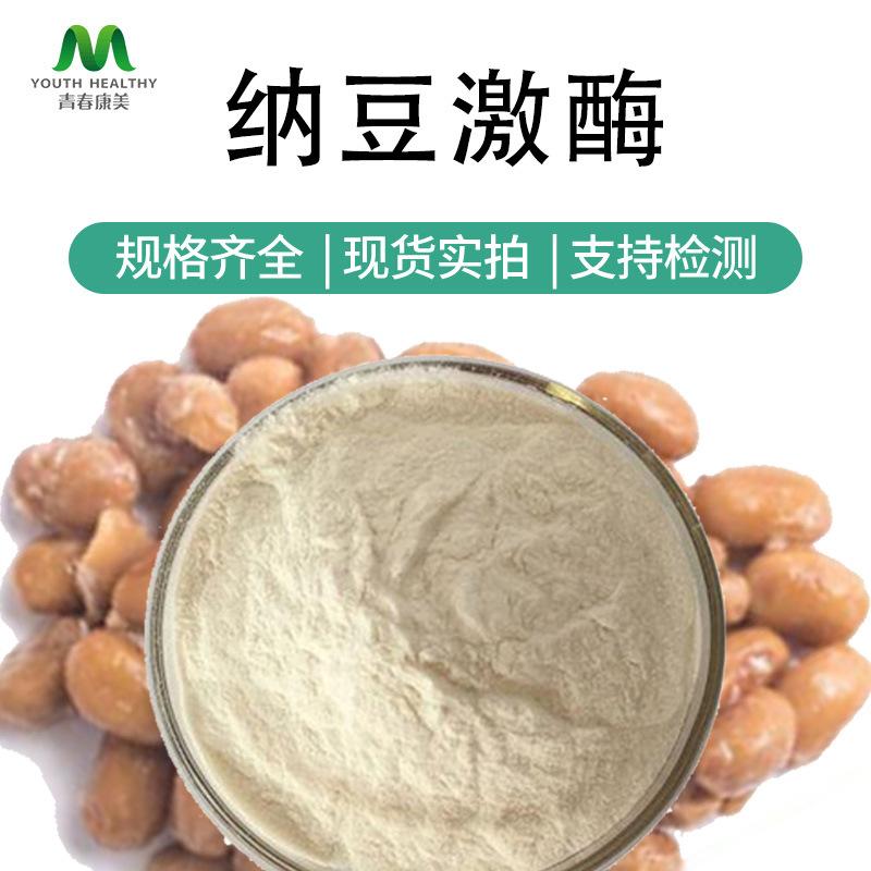 纳豆激酶