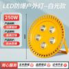 Luz à Prova de Explosão LED Luz de Túnel Baixa Tensão 12V24V36V Posto de Gasolina Armazém Fábrica Iluminação de Inundação 220V50W100W