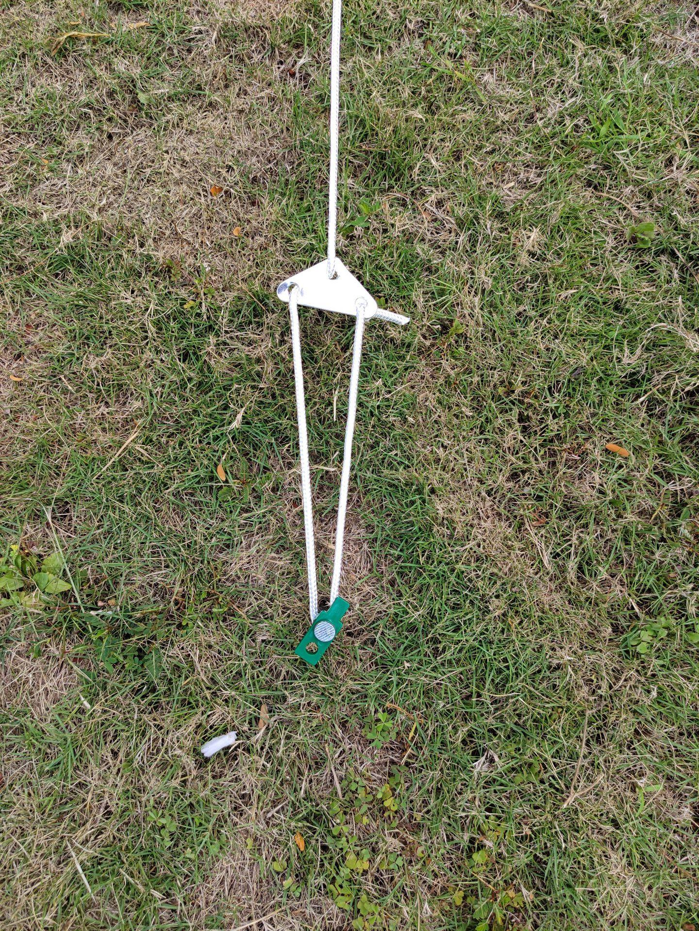 P10606-111245.jpg