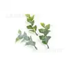 Hojas de Plástico, Hoja Persa, Hierba Cola de Fénix, Accesorios para Ramo de Novia, Flores Artificiales de Plantas y Plantas Acuáticas para Arreglo de Escena