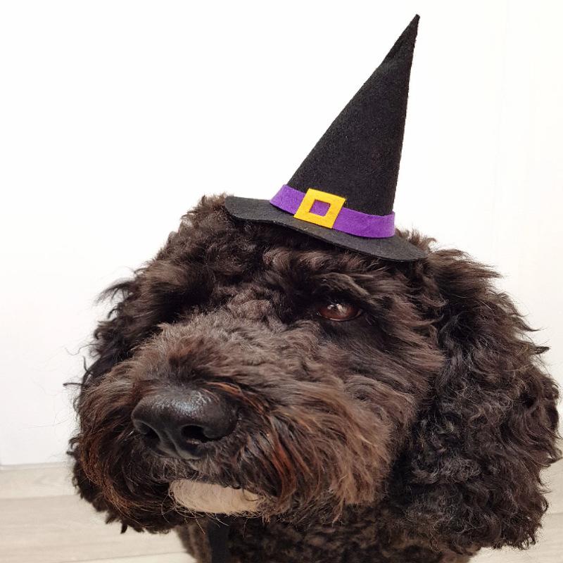 Image 162.png