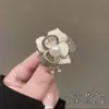 Broche Coreano de Moda y Versátil, Pin de Diseño de Nicho de Alta Gama, Ropa Decorativa de Alta Gama, Fijo, Corsage Anti-Exposición