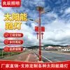 Venta Directa de Fábrica Especialidad Personalizada Luz Solar para Calle de 6 metros Hermosa Construcción Rural Luz de Calle Integrada LED 100w