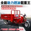 Motocicleta de Gasolina de Tres Ruedas para Dos Personas con Asiento Plano, Descarga Automática Superior Única, Motor Refrigerado por Agua y Aire, Triciclo de Uso Rudo