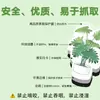 20 Peças de Ímãs de Geladeira Magnéticos Macios de Plantas Verdes, Venda Quente Transfronteiriça Personalizada Pequenas Plantas Verdes Frescas em Vasos Adesivos Magnéticos à Prova d'Água