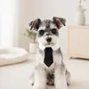 Set de Corbata y Gafas de Caballero Premium para Mascotas, Accesorios para Perros Pequeños y Gatos, Lindos Accesorios para Fotos de Mascotas para Fotos Divertidas