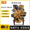 Maquinaria de Construcción Excavadora Accesorios Marca Nueva Segunda Mano Ensamblaje de Motor Original Adecuado para Bulldozer 6D125-1