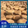Adoquines Planos de Piedra Amarilla de Cera, Piedras para Caminar en el Césped, Piedra Amarilla de Cera Natural para Decoración de Rocallas en Jardines y Parques, Venta al por Mayor