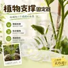 Fijador de soporte para plantas para prevenir el colapso de la planta, fijador transparente para tallo de flor, soporte para maceta de flores artificiales, pinza para planta monstera