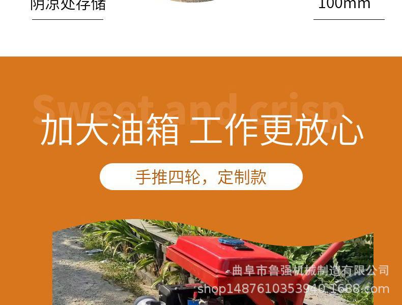 淘宝天猫黄色小清新风格龙眼水果详情页模板_06