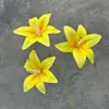 Novas Cabeças de Flores de Lírio 3D Flores Artificiais Decoração de Casa Arte Floral Enfeites DIY Adereços Casamento Cabeças de Flores Feitas à Mão Atacado