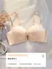 Sujetador de Satén Sin Costuras con Cierre Frontal para Mujeres con Poco Busto, Efecto Push-Up de Verano, Realzando la Apariencia, con Aros para la Flacidez, Sujetador Sexy y Hermoso