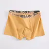 Ropa Interior para Hombre Venta al por Mayor para Hombre Talla Grande Cintura Media Antibacteriano Transpirable Cómodo Algodón Calzoncillos tipo bóxer Fabricante para Hombre Dropshipping