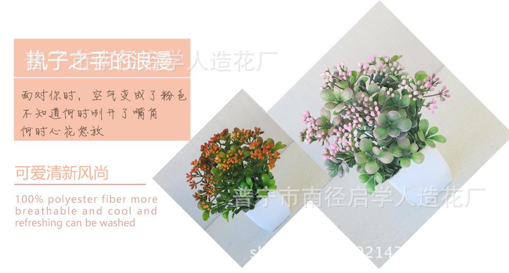 56e66020ea1cd_03