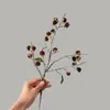 Modili Ramo de Framboesa Flores Artificiais Flores Falsas Plantas Verdes Atacado Decoração de Casamento Artesanato Estilo Ins Fabricante Transfronteiriço