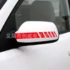 Calcomanía para coche transfronteriza espejo retrovisor calcomanía de raya para coche calcomanía de flor para tirar calcomanía de raya para coche calcomanía reflectante para coche cubre arañazos par