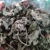 Hojas de Morera, Hojas de Morera, Hojas de Morera, Hojas de Morera Venta al por Mayor Dropshipping