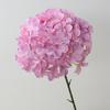 Hortensia de una sola flor grande cepillada, bricolaje, hortensia de boda, flor artificial, accesorios de fotografía, decoración, planta verde falsa