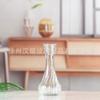 Jarrón de cristal transparente jarrón pequeño recipiente para plantas hidropónicas jarrón pequeño jarrón seco arreglo floral decoración de sala de estar