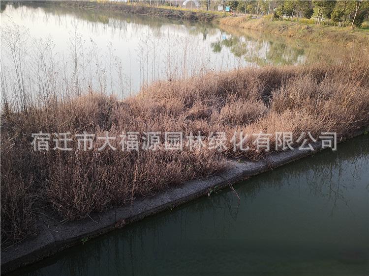 微信图片_20200601224444