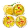Xizhilang Gelatina de Pulpa Sabor Manzana Sabor Piña Sabor Durazno Sabor Durazno Amarillo Sabor Naranja Una Caja 5kg