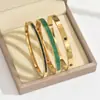 Pulseira de Aço Titânio, Pulseira de Unha com Zircônia para Mulheres, Sensação de Alto Padrão, Popular na Europa e América, Joia de Pulseira Aberta que Não Desbota